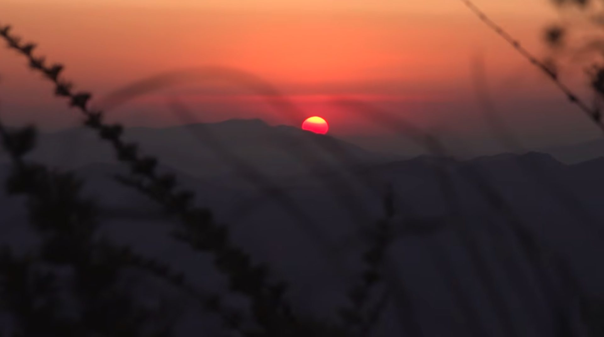 Pôr do sol atrás de montanhas, vegetação desfocada em primeiro plano